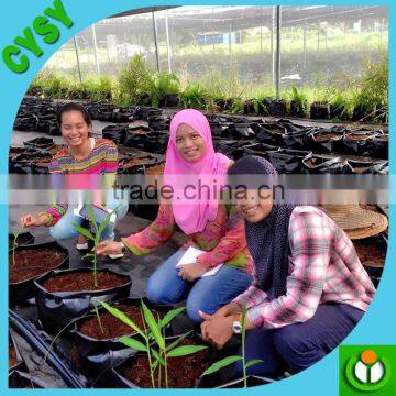 UV Resistant Plastic Plant Pots Bag Wholesale