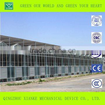 Vegetable Venlo Multi-span Glass/ pc Sheet Greenhouse With Factory Price photo-3