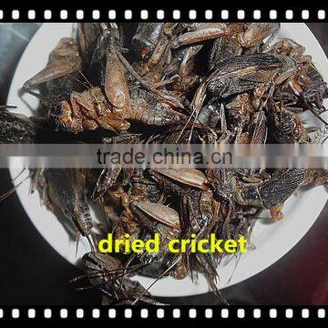 High Protein Microwave Dried Crickets