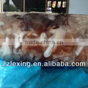 Frozen Giant Squid Neck BQF Peru photo-2