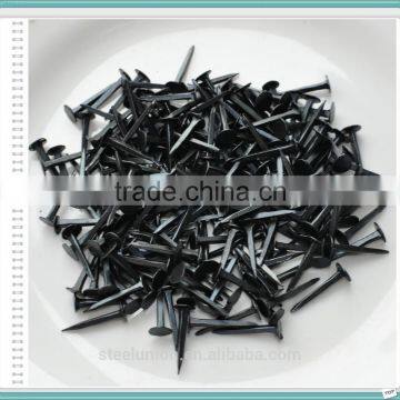 Shoe Tacks Nail photo-2