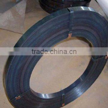 Top Quality Steel Strip/mental Steel Strapping for Packing photo-2