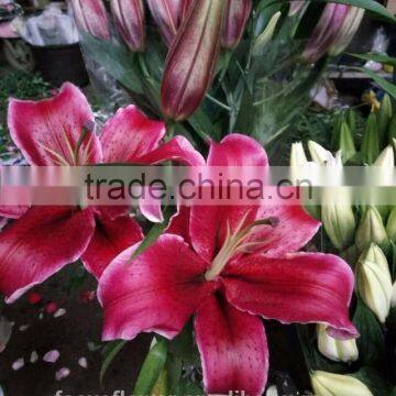 2017 New Hotsale Artificial Easter Lily Flower Wholesale