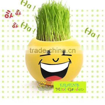 Mini Garden Growing Grass Hair Toy Growing Grass Head Toys 002-2(ceramic Colour Glaze) photo-4