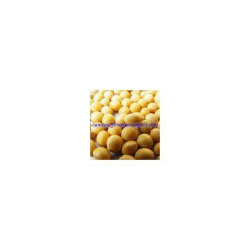 Soybean Extract