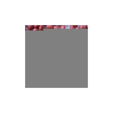 Sell Peanut Kernels with Dark Red Skin