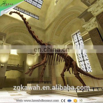 KAWAH Fiberglass Aniaml Replica Skull Popular Resin Life-size Skeleton Dinosaur Model For Sale