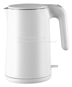 Domestic electric kettle/Stainless steel