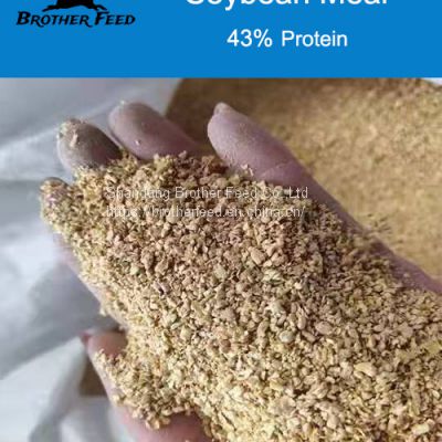 Soybean Meal Animal Feed for Sale