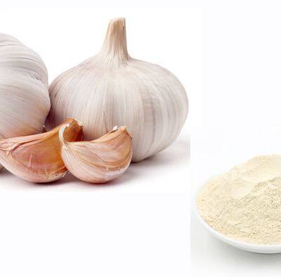 Garlic extract