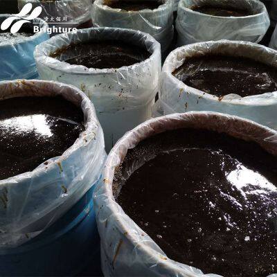 High-Conversion Aquatic Nutritional Supplement With Squid Liver Paste Seafood Pig Feed Nutrition Supplement Animal Feed Additive photo-5