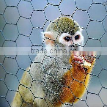 High Quality hexagonal wire netting for animal cage fence