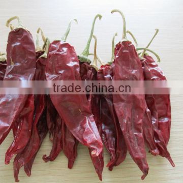 China Sweet Paprika pods with stem or stemless