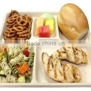 100% Biodegradable Microwavable 5 Compartment School Lunch Tray