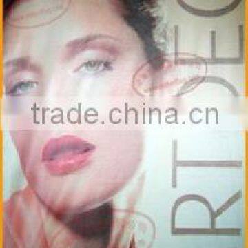 Custom Advertising Banner,High Quality Flag Banner, Printing Banner