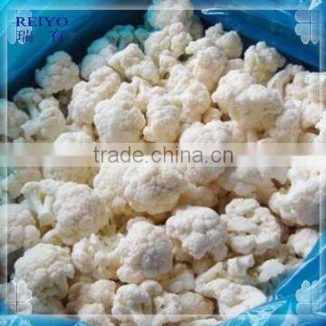 china frozen vegetables product