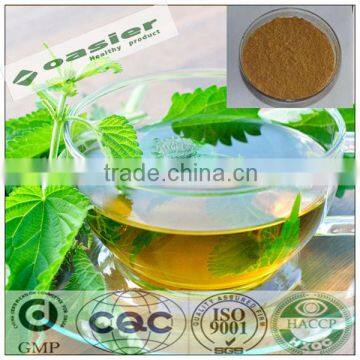 Natural GMP hot sale nettle plant extract powder