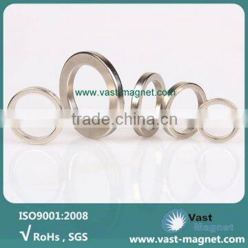 Permanent Strong Radial Ring Magnet