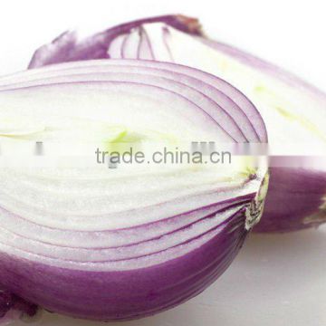 fresh onion(tiankuang)