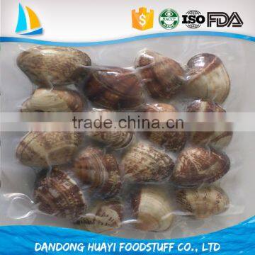 Frozen boiled clam meat seafood