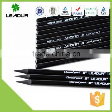 charcoal standarded artist pencil set