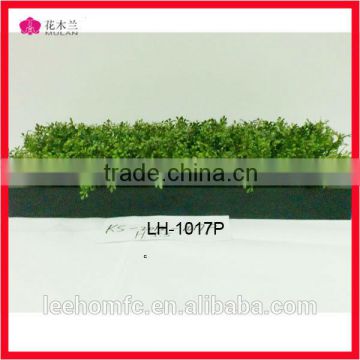 artificial grass in wooden-frame export from china