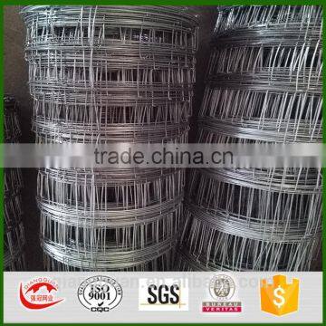 Anping hot sale stainless steel field fence /kraal network