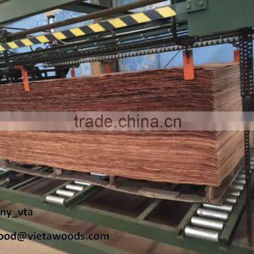 Eucalyptus Joint Core Veneer for Making Plywood From Vietnam photo-3