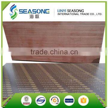 china hot-selling finger joint film faced plywood