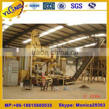 2-3TON/H Biomass pellet plant