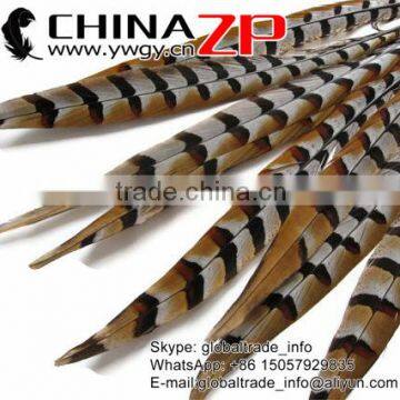 ZPDECOR Wholesale Top Selling Raw 45-50cm Size Reeves Venery Pheasant Tail Feathers for Decorations photo-4