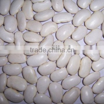 Large White Kidney Bean-2013 new crop are supplying