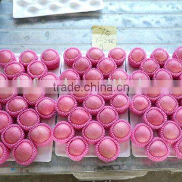 Chinese FUJI Apples