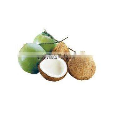 Fresh Coconut