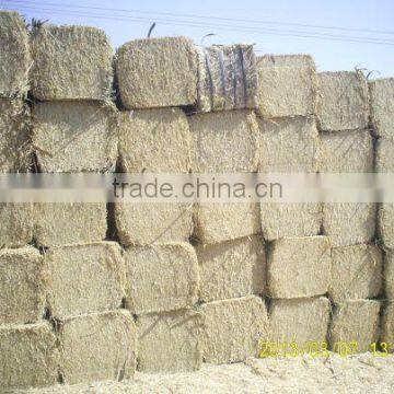 Animal filler straw hay, wheat straw hay, wheat hay bale, straw hay bale, wheat straw