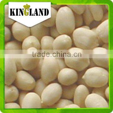 crispy blanched peanut kernel