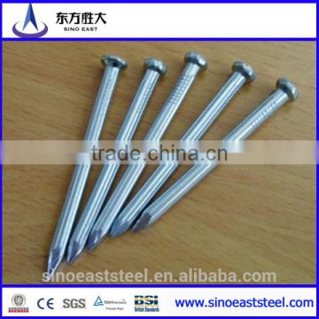 Hot Promotion !!! manufacturing galvanized big head nail steel nails from Factory in Tianjin China