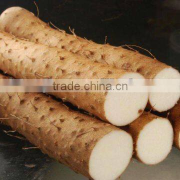 100% Natural Wild Yam Extract Powder