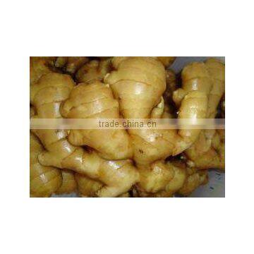 China Spice Vegetable of Fresh Ginger in Hot Sale photo-3