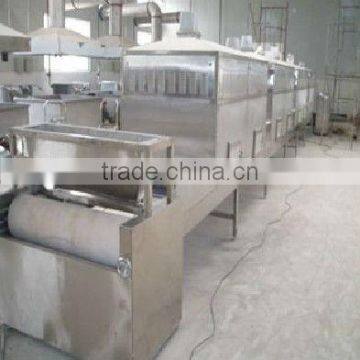 Tunnel Talcum powder microwave drying sterilization machine--SS304