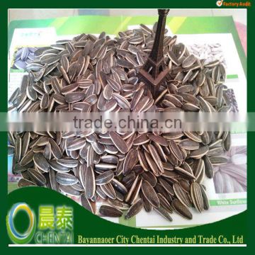 Supply Top Quality Raw Hulled 5009 (24/64)Ameican Sunflower Seeds