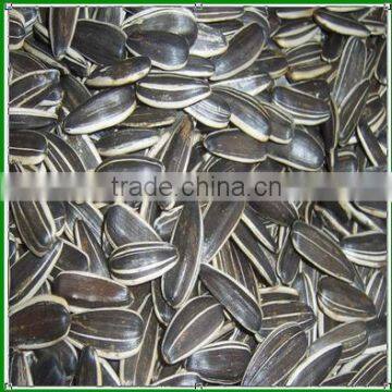 Sale China Black and Cheap Sunflower Seeds For Pet Consumption photo-2