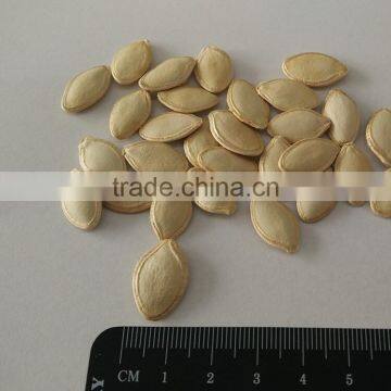 organic Pumpkin Seeds shine skin 10,11-13MM