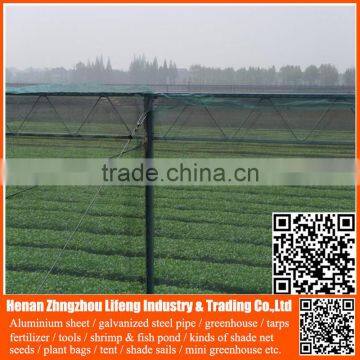 china factory hdpe with uv greenhouse insect net , plastic agriculture pe anti-insect net , nylon insect net with low price