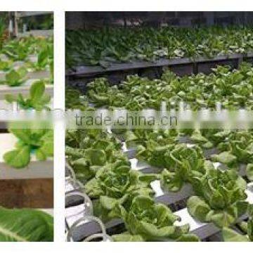 Horticulture Perlite Customized Size Perlite Like 1-8, 1-6, 1-2mm Etc photo-4