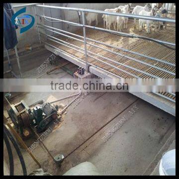 Sheep manure cleaning machine suit for poultry manure scraper