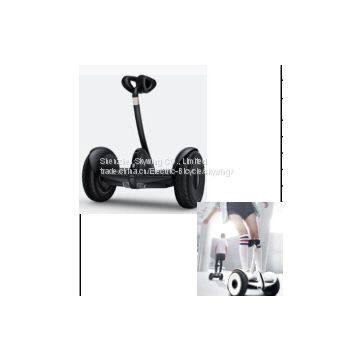 two wheel balance smart electric scooter