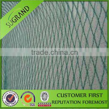 We exports new virgin hdpe 20gsm bird trap net with UV to Russia