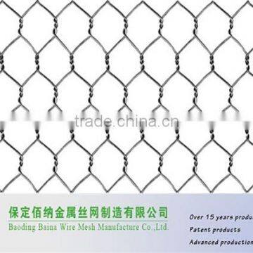 Electrical Galvanized Chicken Wire Mesh Architectural Mesh