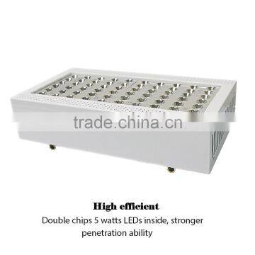 Shenzhen Two Switches With 5 W Cob Chip X300 Led Grow Light